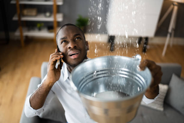 Best Flooded house restoration  in Highfill, AR