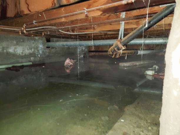 Best 24-hour water damage restoration  in Highfill, AR