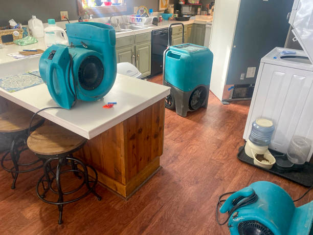 Best Local water damage restoration  in Highfill, AR