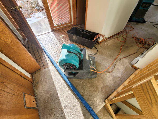 Best Water damage restoration near me  in Highfill, AR