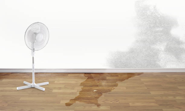 Best Flood damage cleanup  in Highfill, AR
