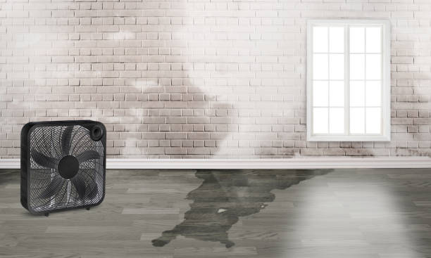 Trusted Highfill, AR Water damage restoration Experts