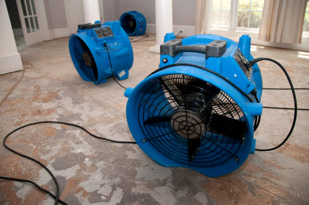 Best Water damage restoration near me  in Highfill, AR