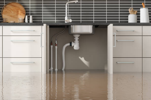 Best Water damage contractors near me  in Highfill, AR